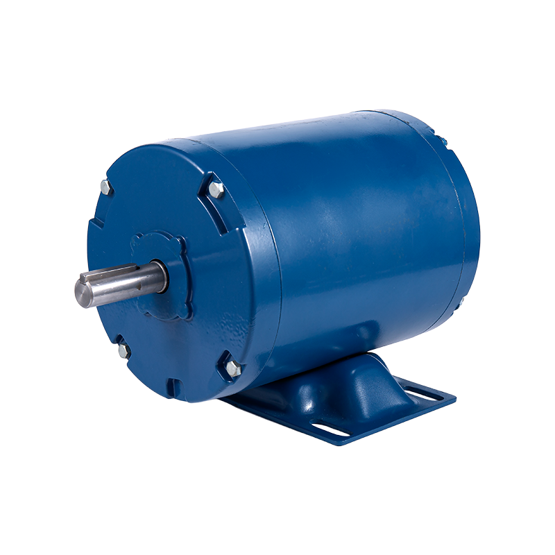 Motore a induzione elettrico monofase ad alta potenza Y286145