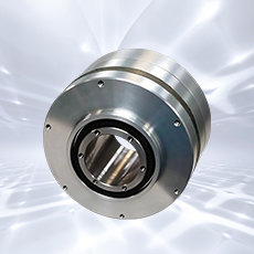 Motori Torque senza telaio